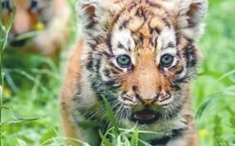 迎接“六一”儿童节，沈阳文旅场所童趣多多（沈阳儿童文化宫）