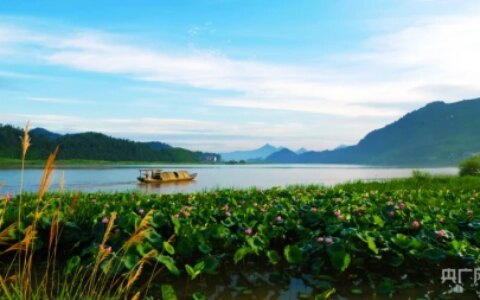 湖湘画卷｜衡东：共赴一场清荷飘香的夏日之约-衡东县命案