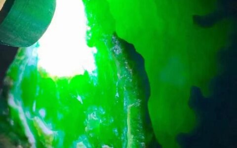 翡翠原石—— 晶石幽藏，内含玉液，蕴含无限价值-有晶体纹的翡翠手镯还值钱吗