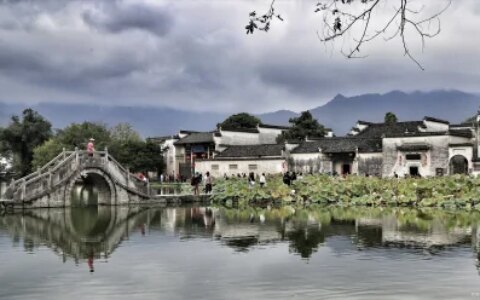 报考导游资格证流程细节都在这了！（导游证报考条件要求）