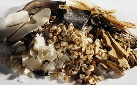 茯苓的功效与作用有哪些（黄芪加一物治百病）