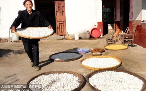 “一两茯苓一两金” 服用茯苓到底有哪些好处？（茯苓十克有多少粒）