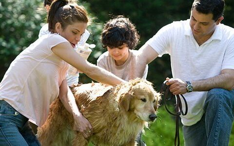 心自由教育好不好？心自由教育分享儿童励志的句子50句-郑州心自由教育集团怎样