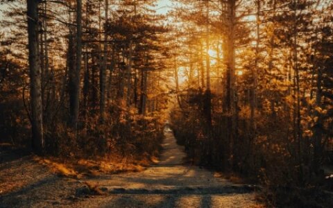 积极向上阳光励志的句子-积极向上的阳光短句