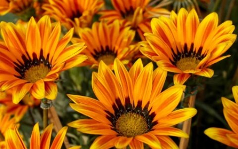 最新励志正能量激励人的句子-100条励志正能量句子