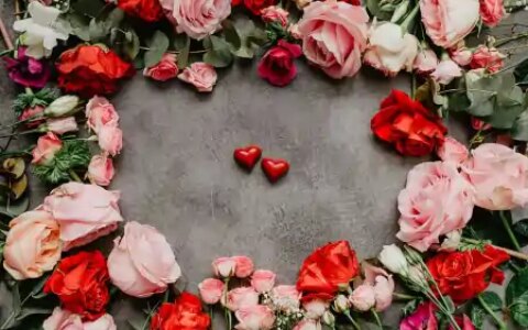 可发朋友圈的励志句子，句句舒心，温暖心灵-适合发朋友圈的励志说说