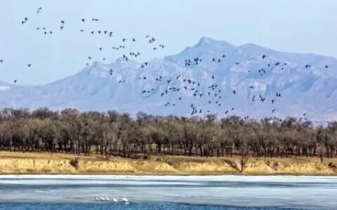 口泉河国家湿地公园风景如画（口泉在哪里）