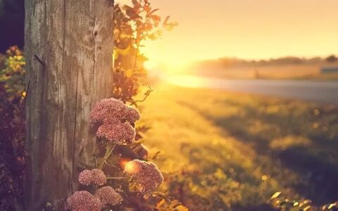 给即将参加中考的孩子们的20句暖心加油话-马上中考了家长为孩子加油的话怎么写