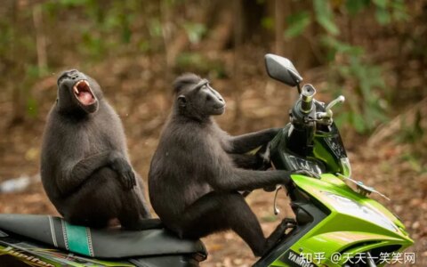 有没有比较简短又搞笑的笑话？（简短最搞笑的笑话）