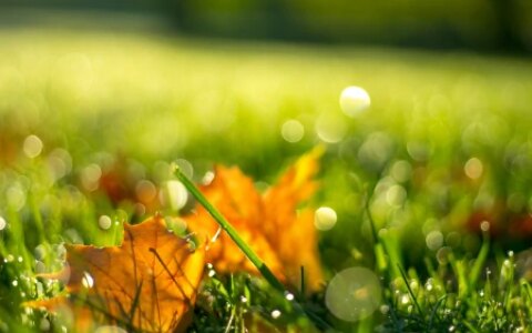 正值端午安康，巧遇中考落幕，祝学子们金榜题名，未来可期-中考遇端午说说