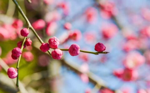 10则小笑话，有理，有趣，有深度（能让全班哄堂大笑的笑话）