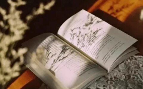 作文：语文学习不只是在课堂（生活处处是课堂）-语文不止在课堂