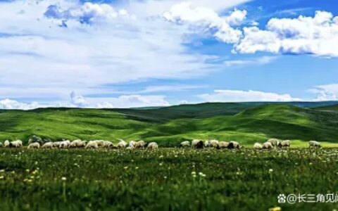 笑话大全 爆笑简短 笑到肚子疼超级爆笑（能让全班哄堂大笑的笑话）