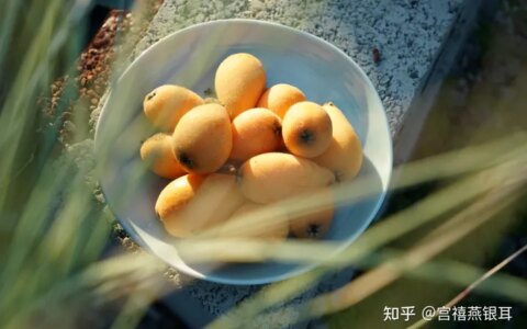 枇杷有哪些功效好处？和银耳一起煮成甜汤，营养更丰富！（枇杷银耳雪梨汤的做法大全）