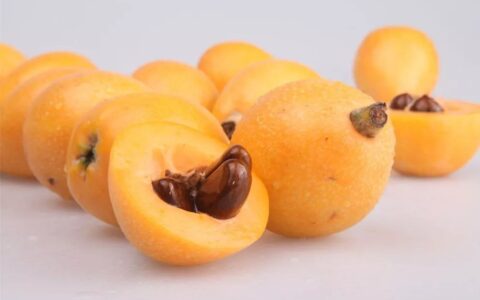 佳果枇杷治咳嗽（枇杷果能止咳）