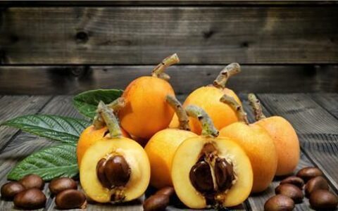 枇杷的功效与作用，枇杷膏如何制作？想保存时间长一点，不妨一试（枇杷膏的制作方法和配方）