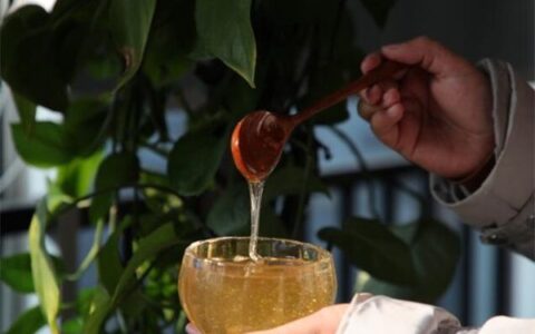 枇杷花蜂蜜的功效与作用，枇杷蜜有什么好处？（枇杷花蜂蜜水的作用与功效与禁忌）