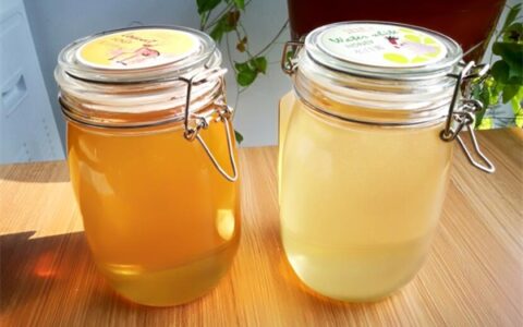 吃枇杷蜜的好处，枇杷蜜的功效与作用是什么？（枇杷蜜的营养功效和食用禁忌图片）