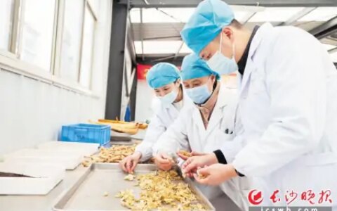 走进制剂室，揭开“如法炮制”神秘面纱丨医院里 你不知道的-如法炮制的释义与举例