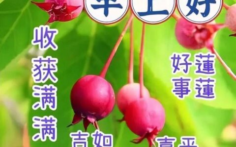 早安心语一天一语，最新早上好祝福图片-早上好的带图片的祝福语