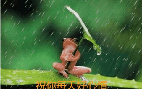 2019最新早上好图片动态表情包，2019最美早晨好动态表情图片-早上好的动图大全 最美