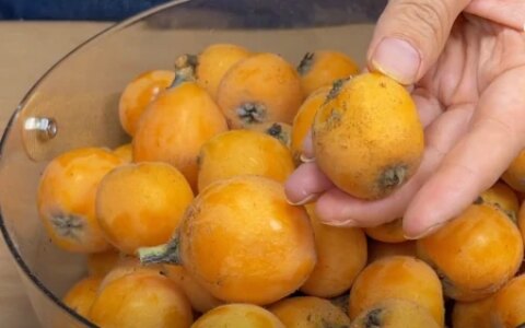 如果你家门口有枇杷树的话，一定要给孩子熬上一锅川贝枇杷膏！（枇杷树栽在门口风水怎么样）