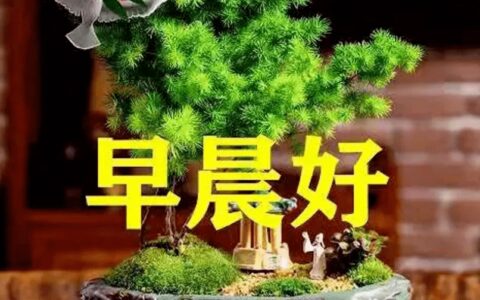新款早上好图片大全，今天早上好图片最新-早上好的新图片大全动态