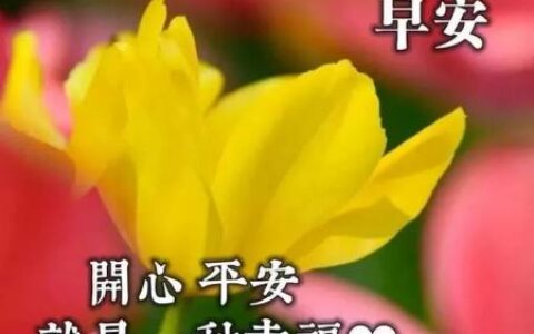 适合早晨群发的早上好祝福短信语录，很漂亮的早安问候表情图片-早晨群发问候语短句子