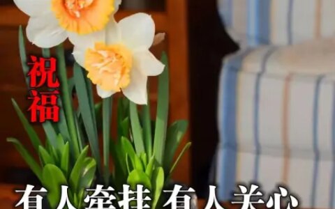 微信早上好温馨祝福很赞图片，发朋友圈必备早安句子-早上早安的微信祝福语大全四字