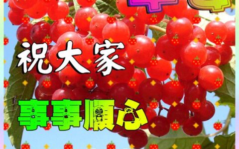 3月最新版群发早晨好问候祝福图片 2022春天最美早上好动画祝福带字表情图片大全-早上好的祝福图片可以发送的