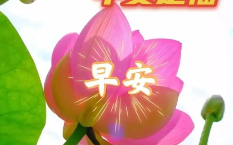 微信群发早晨好表情包图片大全 早上好问候语表情动态图片-群发早上好的问候语怎么发