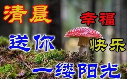 朋友圈最新版清晨早上好问候语美图，12月6日清早早上好问候暖心句子送给你-早上好说说朋友圈说说