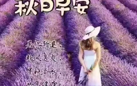 朋友圈早安暖心祝福美女问候，秋天天凉了的问候暖心句子-秋天变冷早安问候语