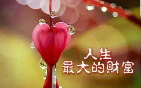 8月26日周一早上好问候语录，阳光暖心的早安问候句子-8月26号早上好