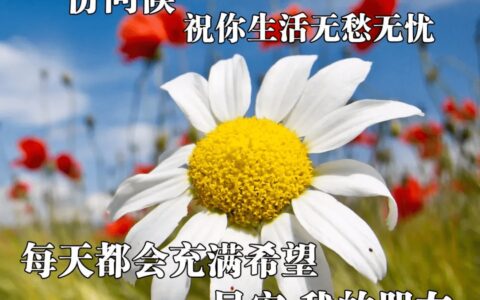 最新版最漂亮的早上好短语句子，问候暖心，早安吉祥！-早上好的问候美句图片 简短