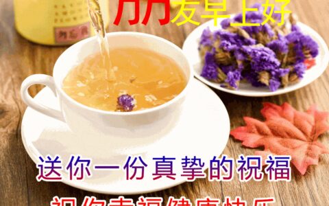 早上好问候语温馨短句，清晨问候早上好的短句子-2021早上好的问候语简短 温馨图片大全