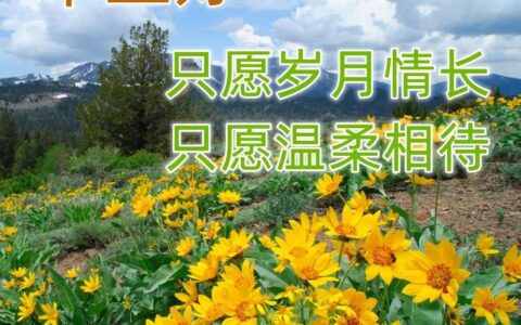 最新版最漂亮的早上好短语句子，早上好祝福早安短句子问候语精选图文-早上好的优美句子 最温暖的早安问候语