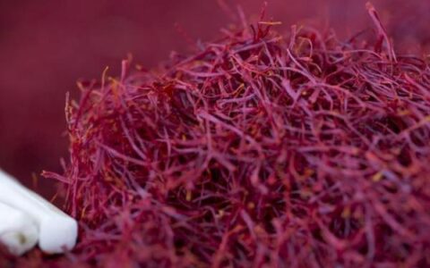 红花和藏红花，名字相似为何价格相差几百倍（藏红花和红花有啥区别）