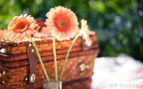 早上简短暖心的问候语，你最喜欢哪句？-早上最简短最好的问候语