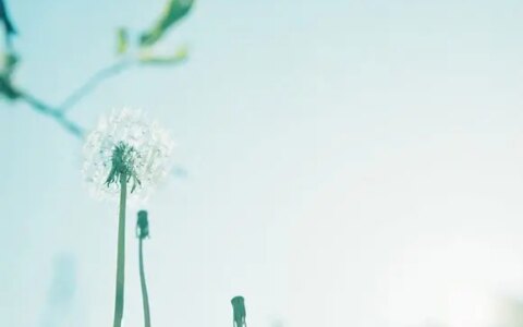 句句暖心早安心语-独一无二的早安心语