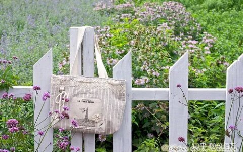 晨语早安问语暖心-晨语早安心语