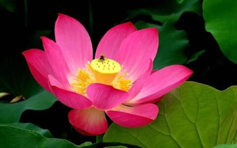 特别暖心的早安一句话，简短精致，越看越爱！-早安暖心话 一句话图片