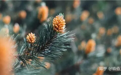 早晨温心祝福语-早晨温馨祝福短语