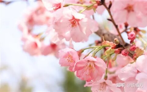 早安问候语最暖心短句-特别暖心的句子给朋友