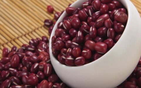 「视界」红小豆的功效与作用（红小豆的功效与作用及营养价值）