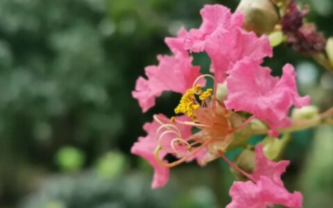 男人吃什么可以补精补肾？（男人吃什么能补精）