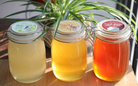 冬蜜的功效和作用，枇杷蜜的作用与功效-冬蜜和枇杷蜜哪个好