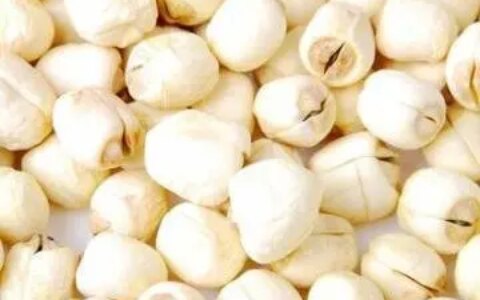 莲子的好处-吃新鲜莲子会发胖吗会长胖吗