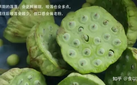 吃新鲜莲子，不要丢弃它，活血化瘀，女人最适合-吃新鲜莲子的好处与功效