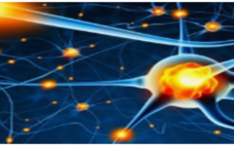 男人不坏女人不爱？流产吃什么补身体最快？（流产应该吃什么补品）